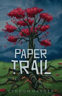 bokomslag Paper Trail