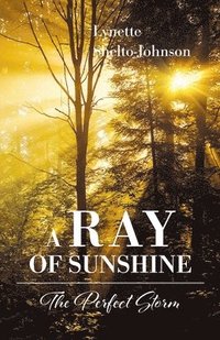 bokomslag A Ray of Sunshine