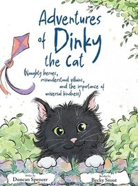 bokomslag Adventures of Dinky the Cat