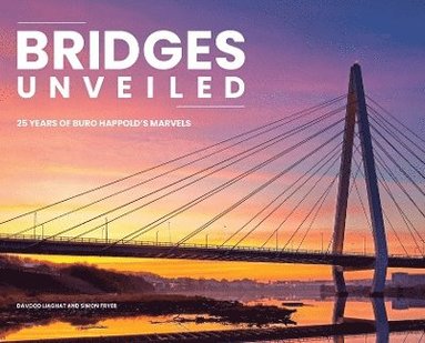 bokomslag Bridges Unveiled