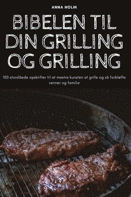 bokomslag Bibelen Til Din Grilling Og Grilling