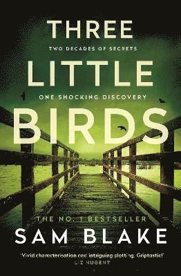Sam Blake - Three Little Birds, Häftad