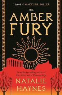 bokomslag The Amber Fury
