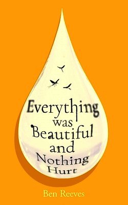 Ben Reeves - Everything was Beautiful and Nothing Hurt, Inbunden