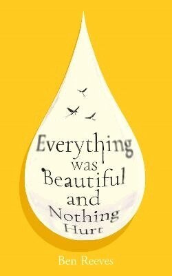 Ben Reeves - Everything was Beautiful and Nothing Hurt, Häftad