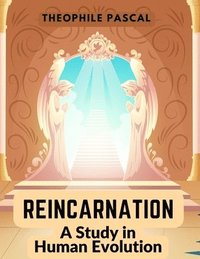 bokomslag Reincarnation