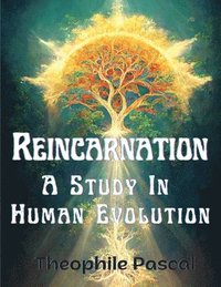 bokomslag Reincarnation