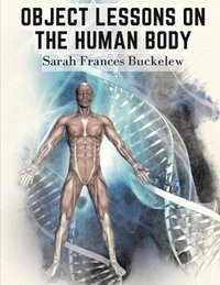 bokomslag Object Lessons on the Human Body