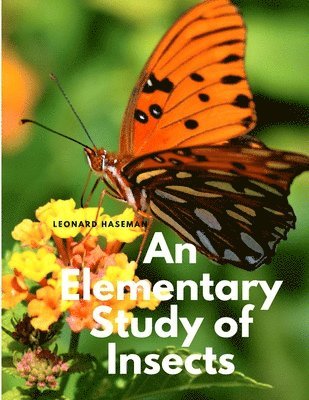 An Elementary Study of Insects 1