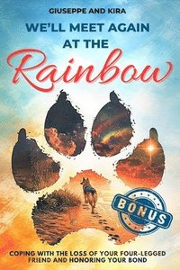 bokomslag We'll meet again at the rainbow