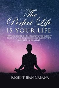 bokomslag PERFECT LIFE Is Your Life