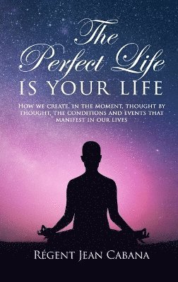 bokomslag PERFECT LIFE Is Your Life