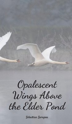 Opalescent Wings Above the Elder Pond 1