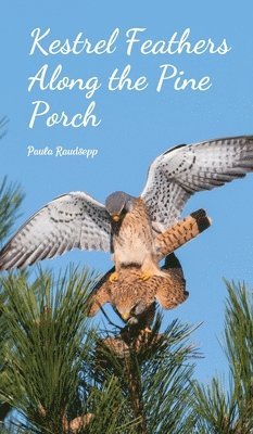 bokomslag Kestrel Feathers Along the Pine Porch