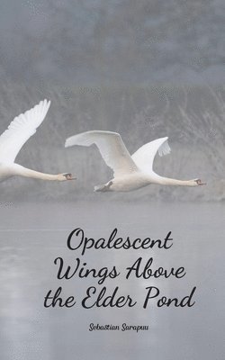 Opalescent Wings Above the Elder Pond 1