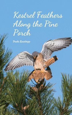 bokomslag Kestrel Feathers Along the Pine Porch