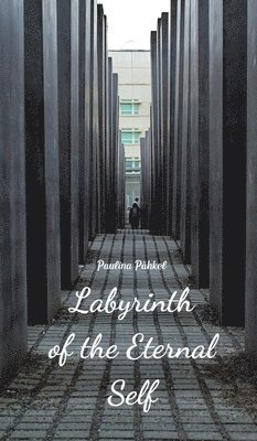 bokomslag Labyrinth of the Eternal Self