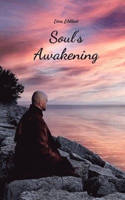 bokomslag Soul's Awakening