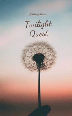 bokomslag Twilight Quest