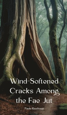 Wind-Softened Cracks Among the Fae Jut 1