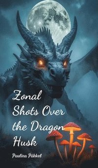 bokomslag Zonal Shots Over the Dragon Husk