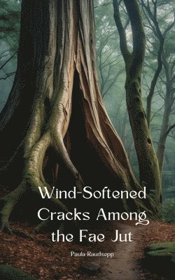 Wind-Softened Cracks Among the Fae Jut 1