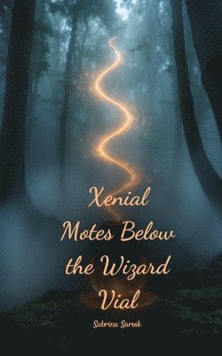 bokomslag Xenial Motes Below the Wizard Vial