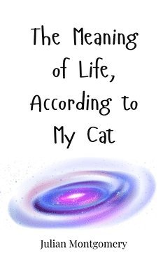 Meaning of Life, According to My Cat