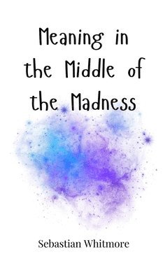 Meaning in the Middle of the Madness 1