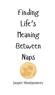 Finding Life's Meaning Between Naps 1