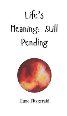 Life's Meaning: Still Pending 1