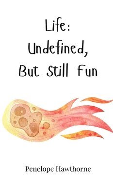 Life: Undefined, But Still Fun 1