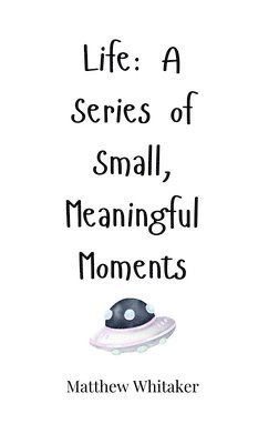 Life: A Series of Small, Meaningful Moments 1