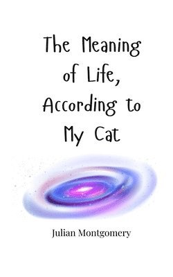 Meaning of Life, According to My Cat