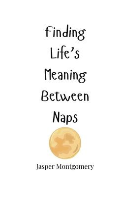 Finding Life's Meaning Between Naps 1