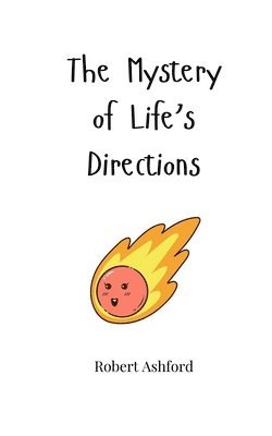 bokomslag Mystery of Life's Directions