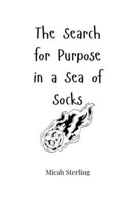 The Search for Purpose in a Sea of Socks 1