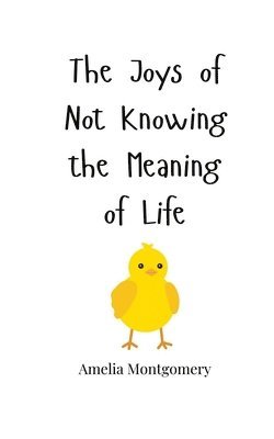 Joys of Not Knowing the Meaning of Life