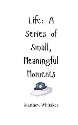 Life: A Series of Small, Meaningful Moments 1