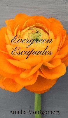 Evergreen Escapades 1