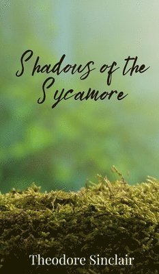 Theodore Sinclair - Shadows of the Sycamore, Inbunden
