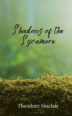 Theodore Sinclair - Shadows of the Sycamore, Häftad