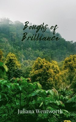 Boughs of Brilliance 1