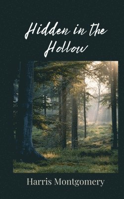 Hidden in the Hollow 1