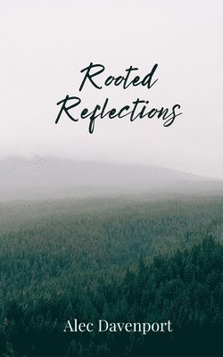 Rooted Reflections 1