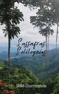 bokomslag Sassafras Soliloquies