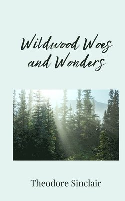 Theodore Sinclair - Wildwood Woes and Wonders, Häftad