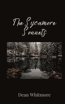 The Sycamore Sonnets 1