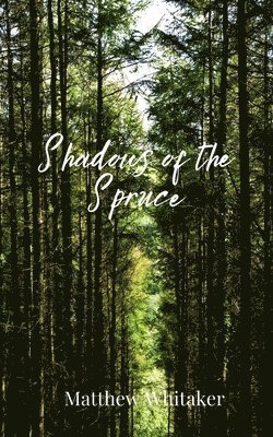 Shadows of the Spruce 1