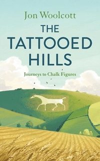bokomslag Tattooed Hills